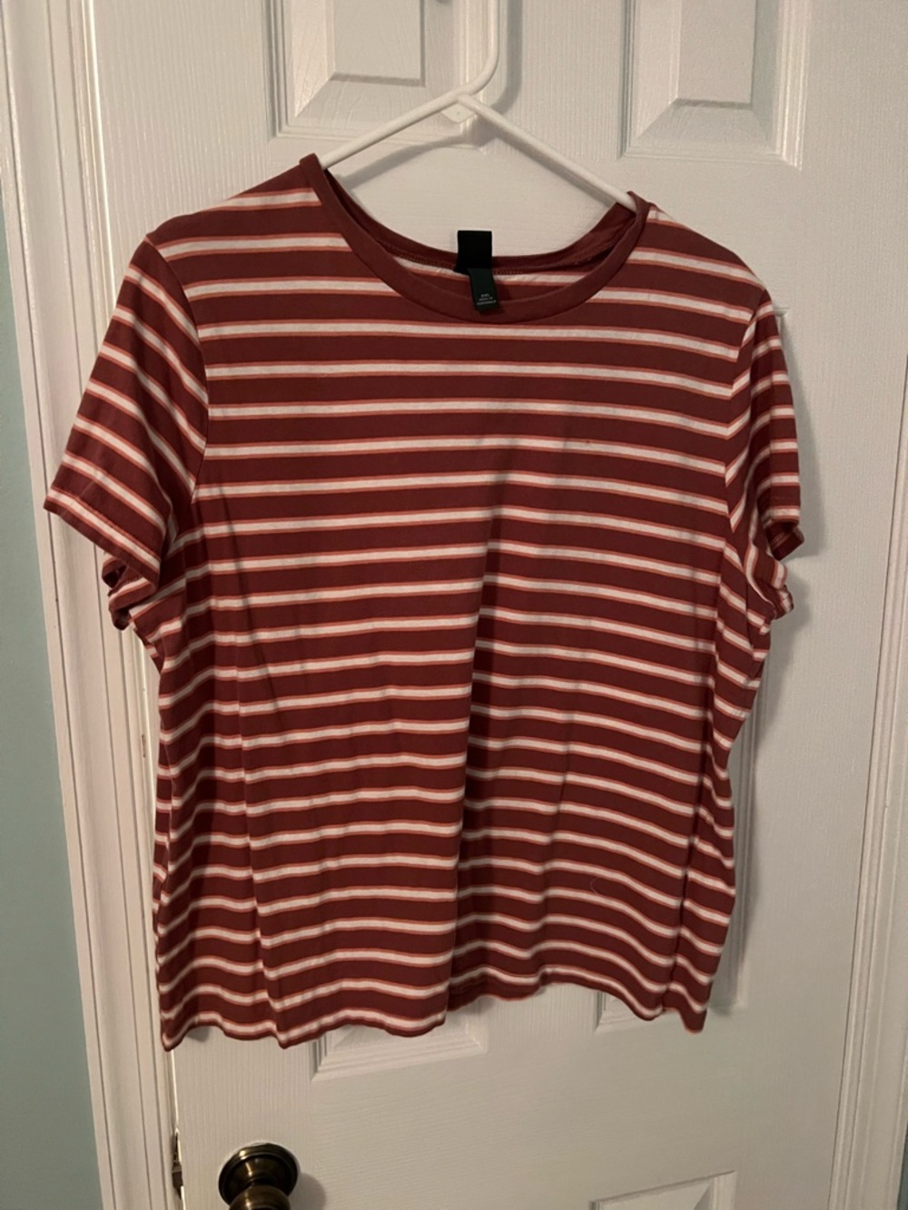 wild fable Rust and Cream Striped Tee
